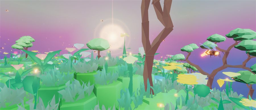 Le soleil bas derrière les arbres de la prairie